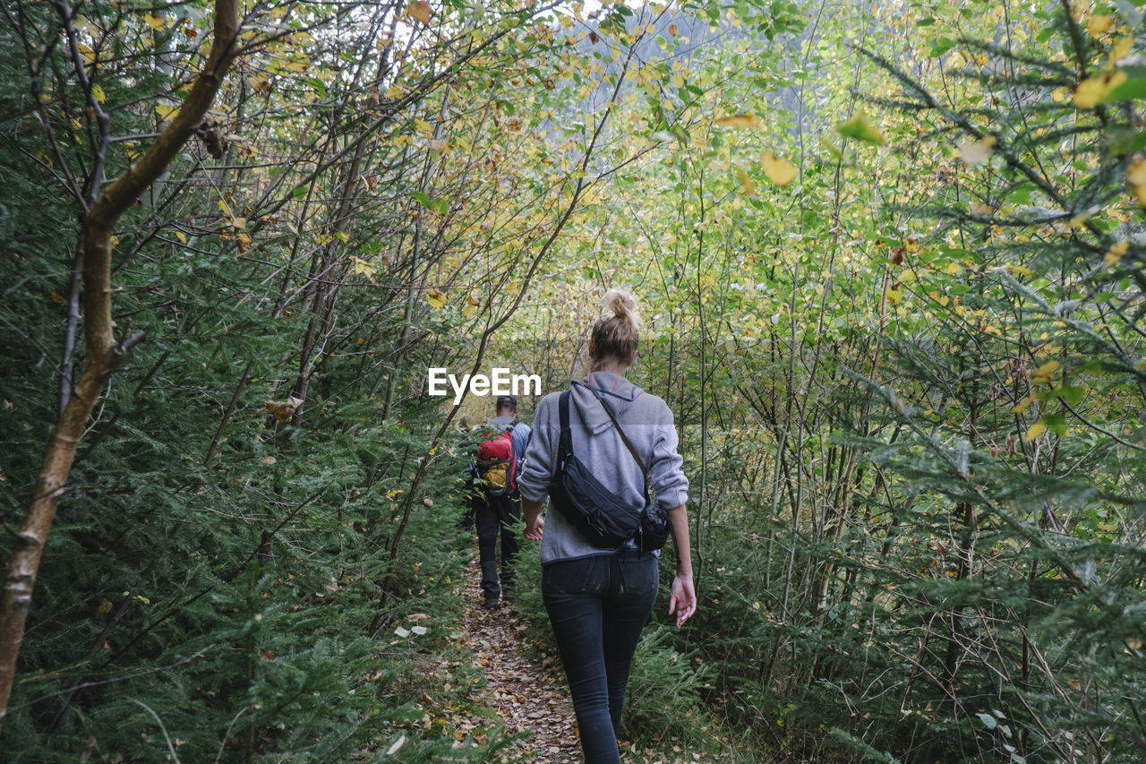 Rear view of people walking in forest