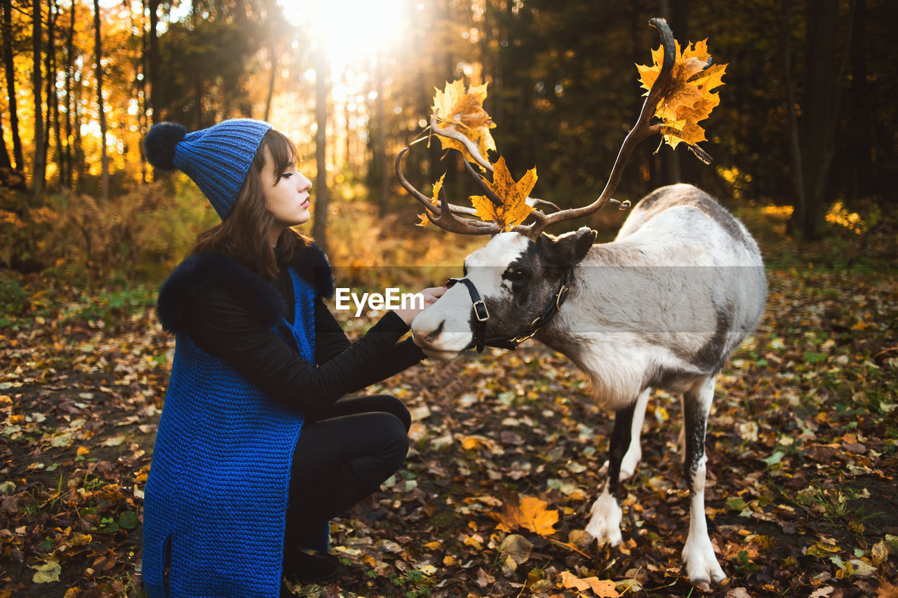 Young woman crouching by reindeer during winter