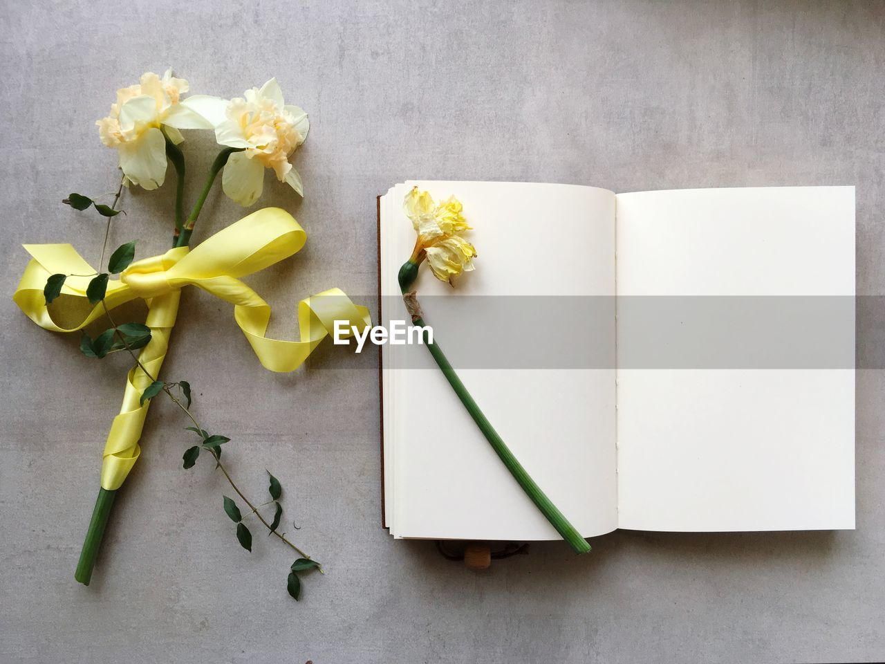 High angle view of yellow flower on table