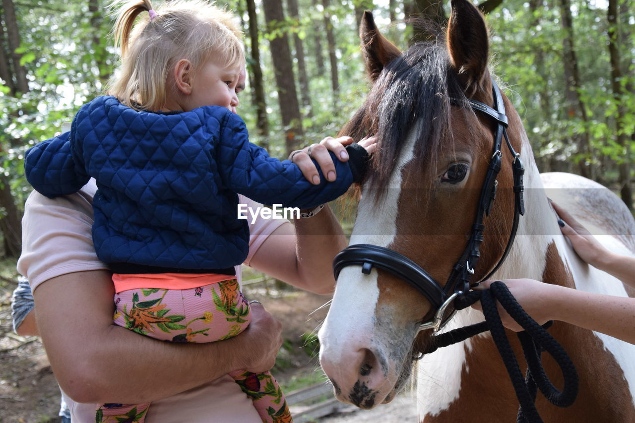 Family petting horse