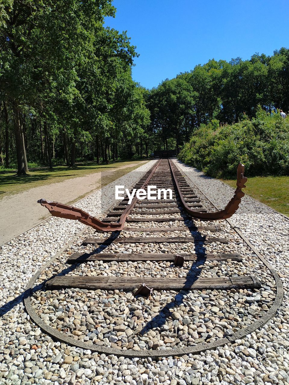 VIEW OF RAILROAD TRACKS ALONG TREES