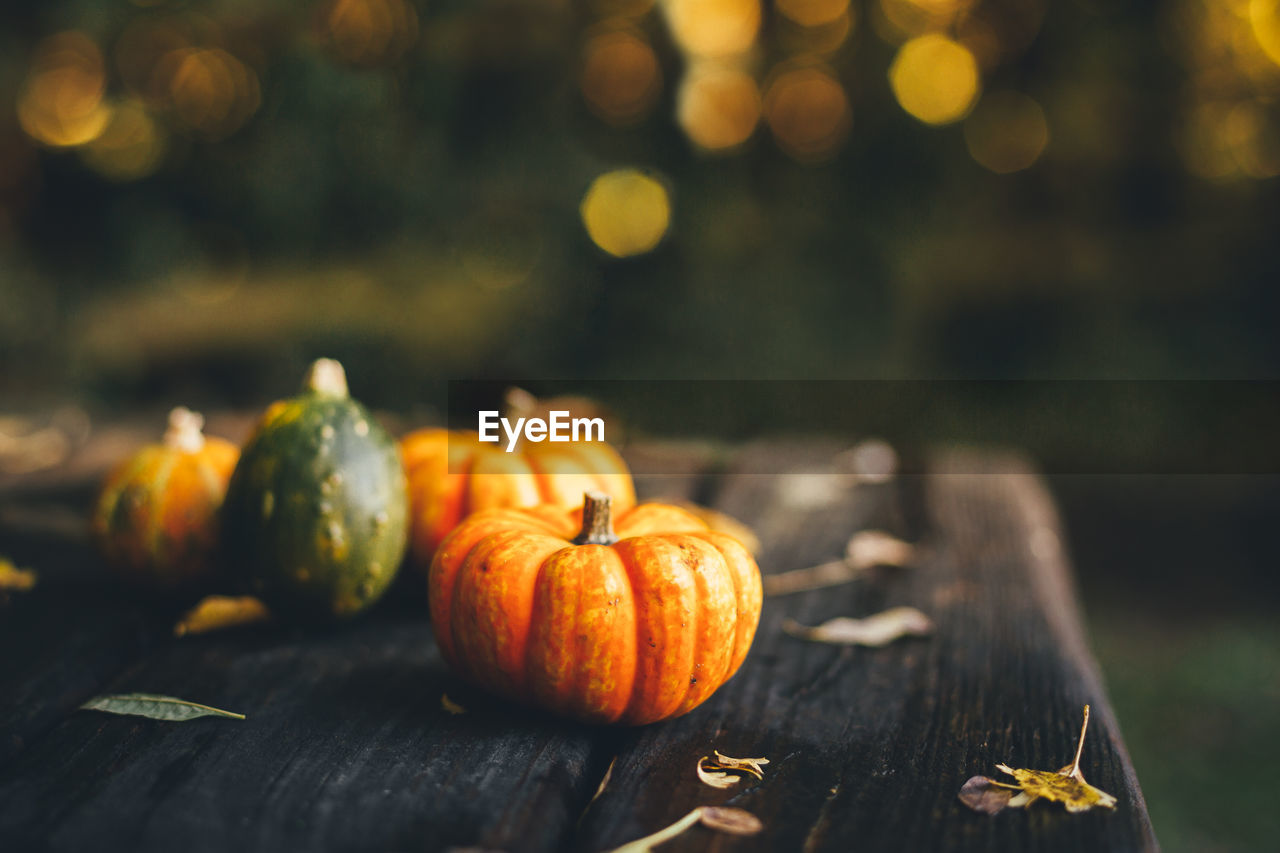 Close-up of pumpkins on table