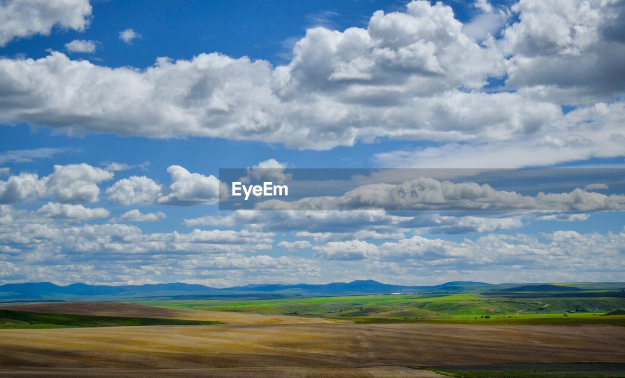 SCENIC VIEW OF FIELD AGAINST CLOUDY SKY