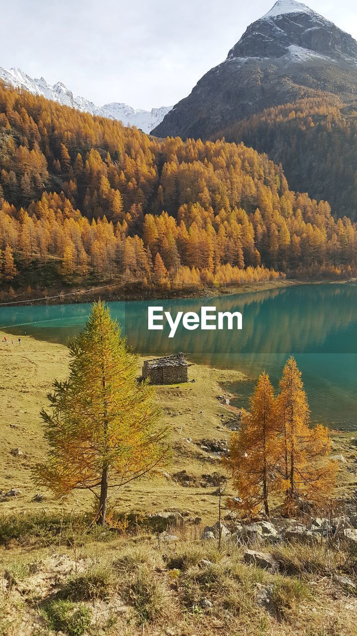 SCENIC VIEW OF LAKE BY TREES DURING AUTUMN