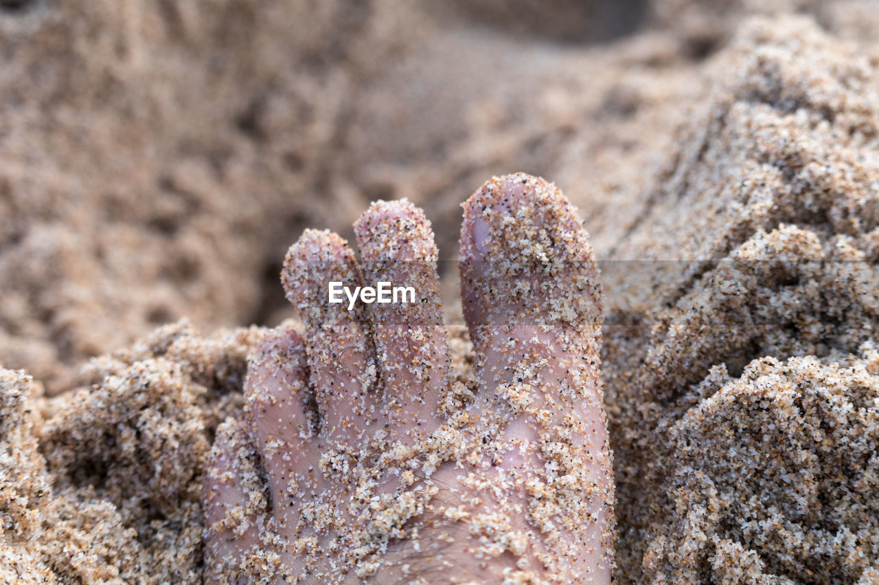 Close-up of sand covered barefoot on beach