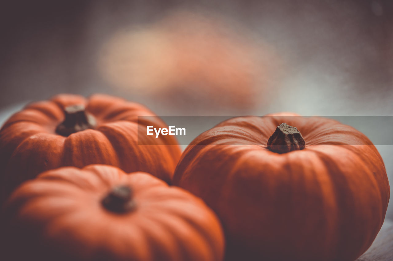 Three little pumpkins on a wooden table with beautiful blurred colorful background