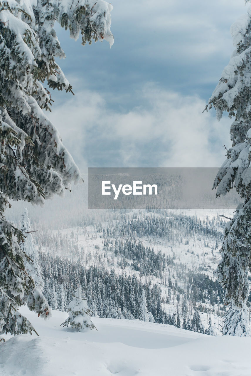 VIEW OF SNOW COVERED LANDSCAPE AGAINST SKY