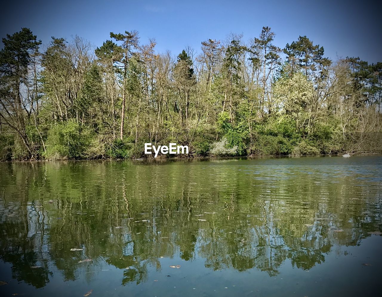 SCENIC VIEW OF LAKE AGAINST BLUE SKY