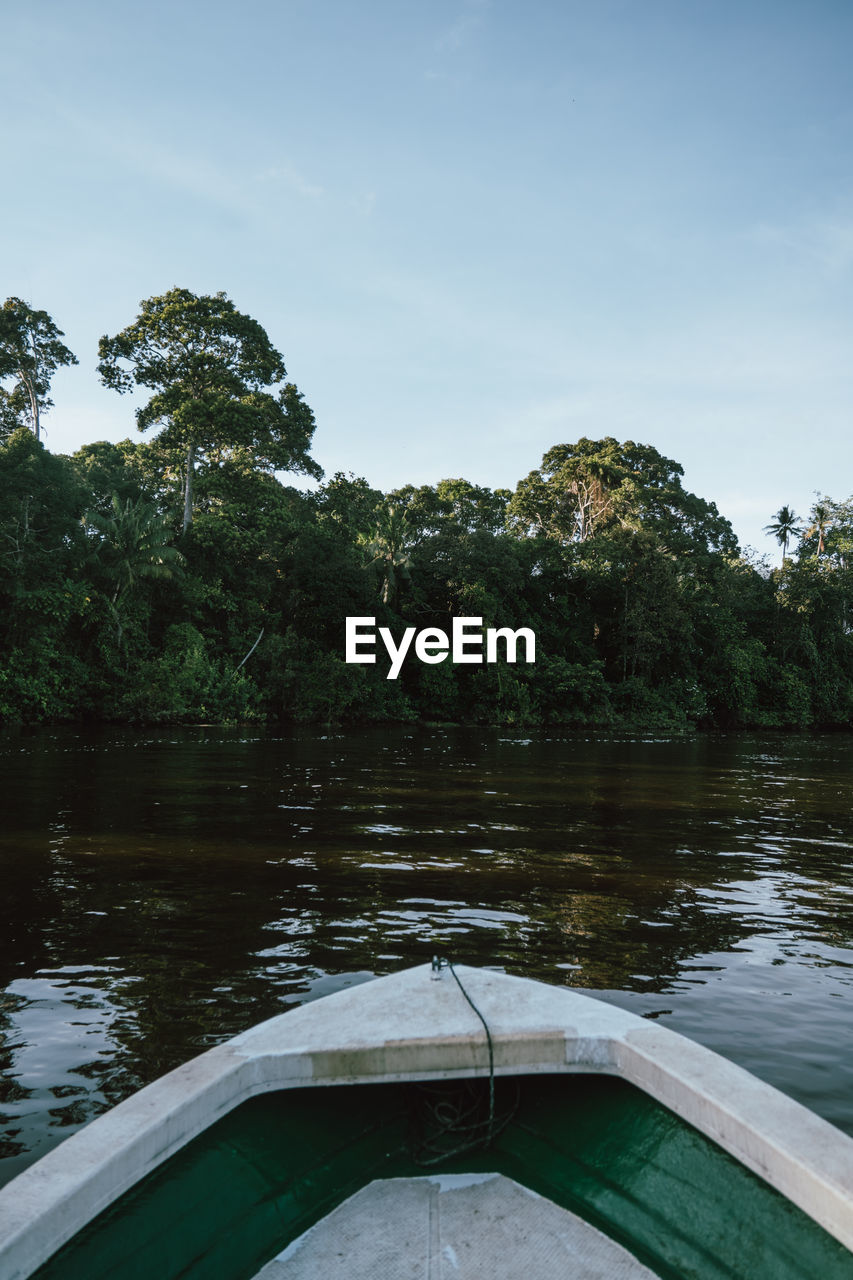 RIVER AMIDST TREES AGAINST SKY