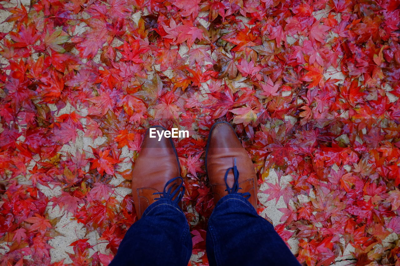 Low section of man standing on field surrounded by fallen autumn leaves