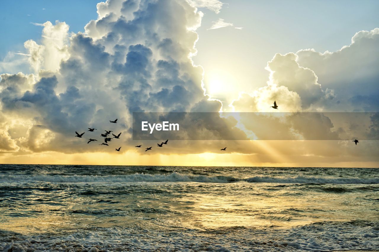 FLOCK OF BIRDS FLYING OVER SEA AGAINST SKY