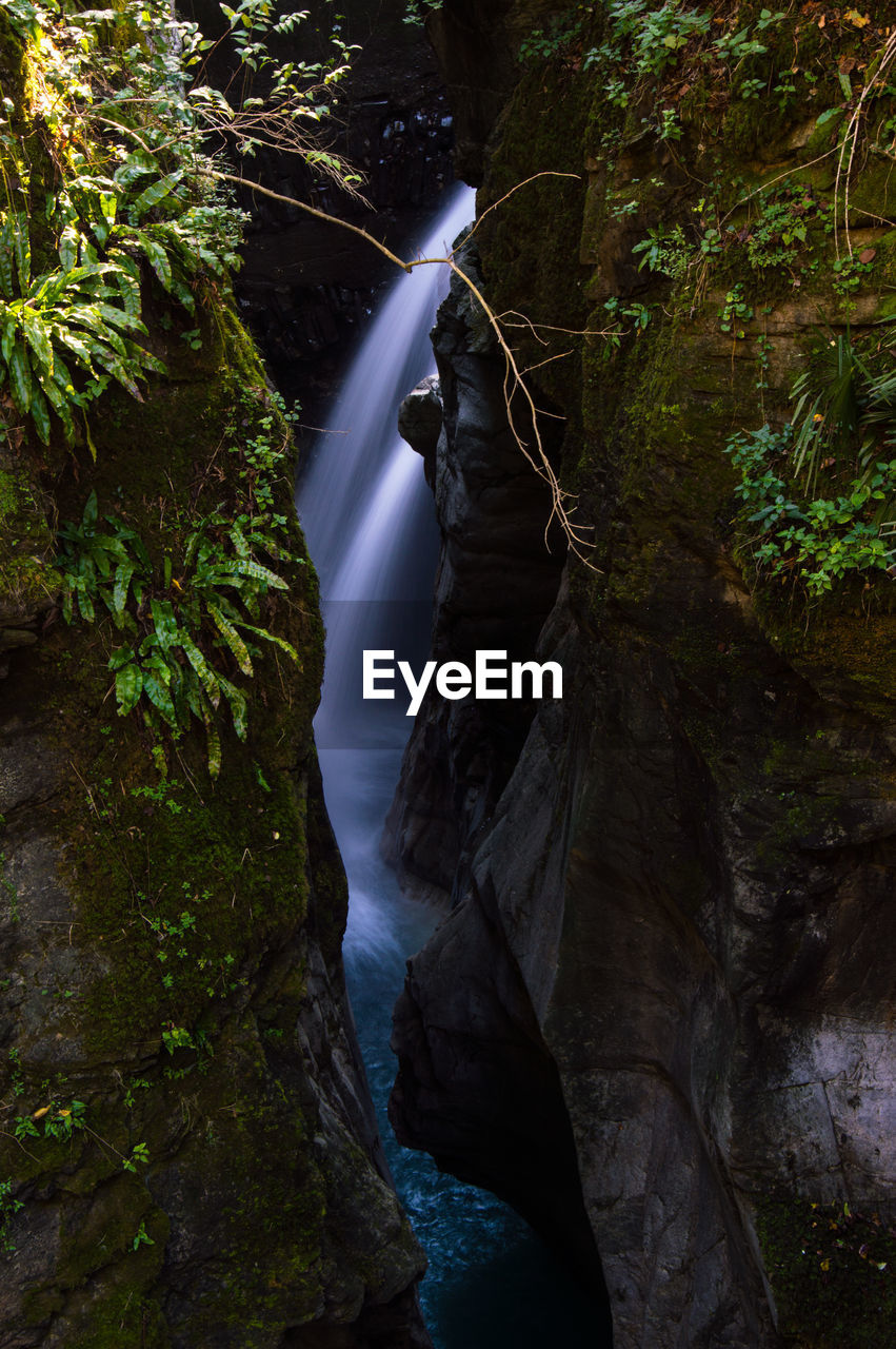 Scenic view of waterfall in forest