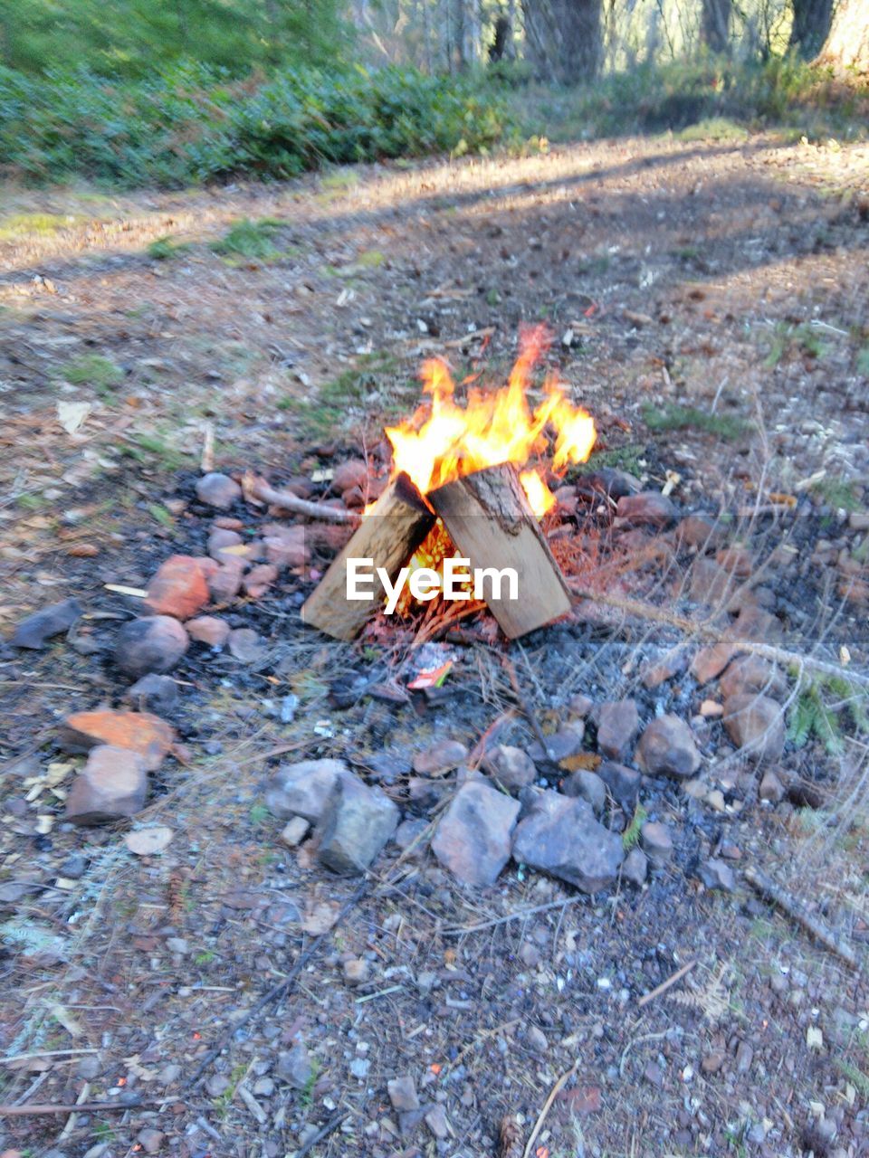 CLOSE-UP OF FIREWOOD