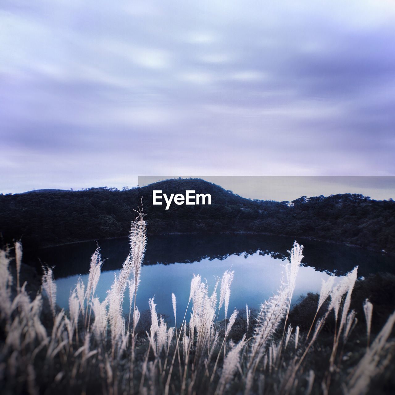 SCENIC VIEW OF MOUNTAIN AGAINST SKY