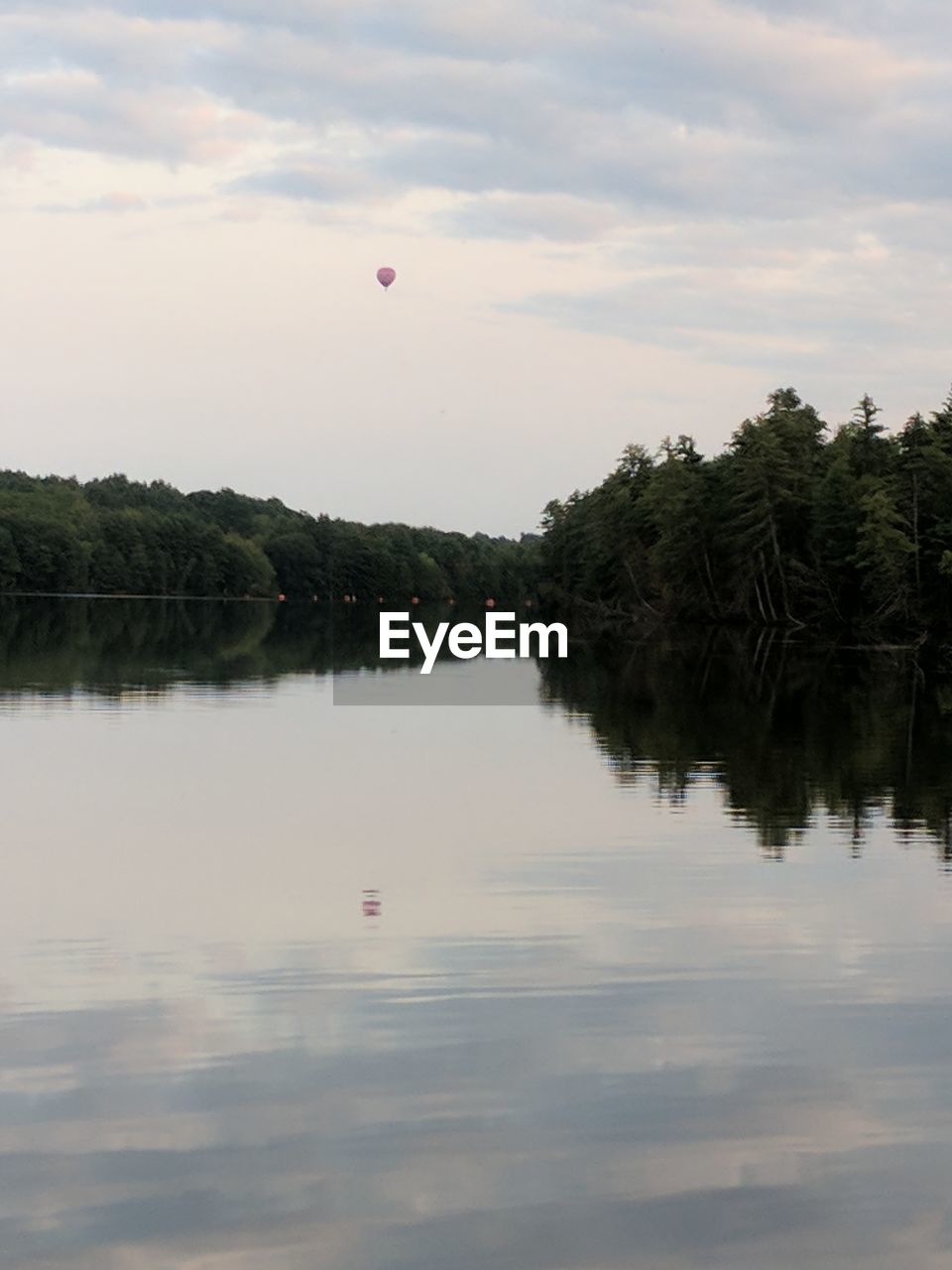 SCENIC VIEW OF LAKE BY TREES AGAINST SKY