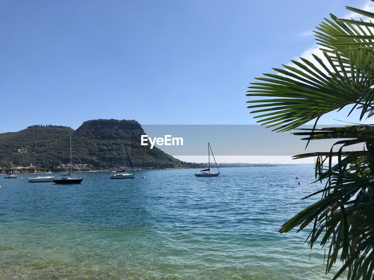 SAILBOATS ON SEA AGAINST CLEAR SKY