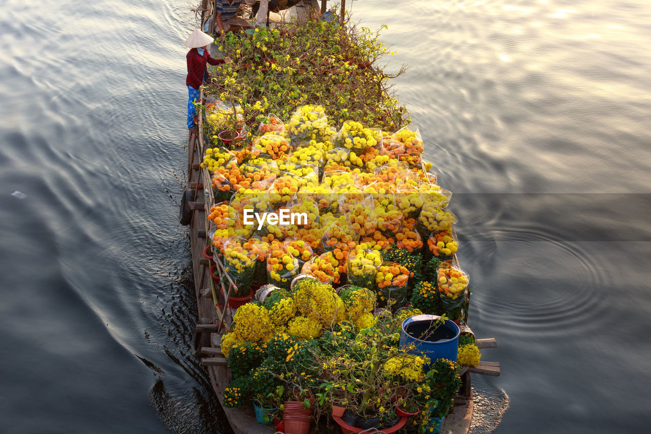 HIGH ANGLE VIEW OF BOAT ON LAKE