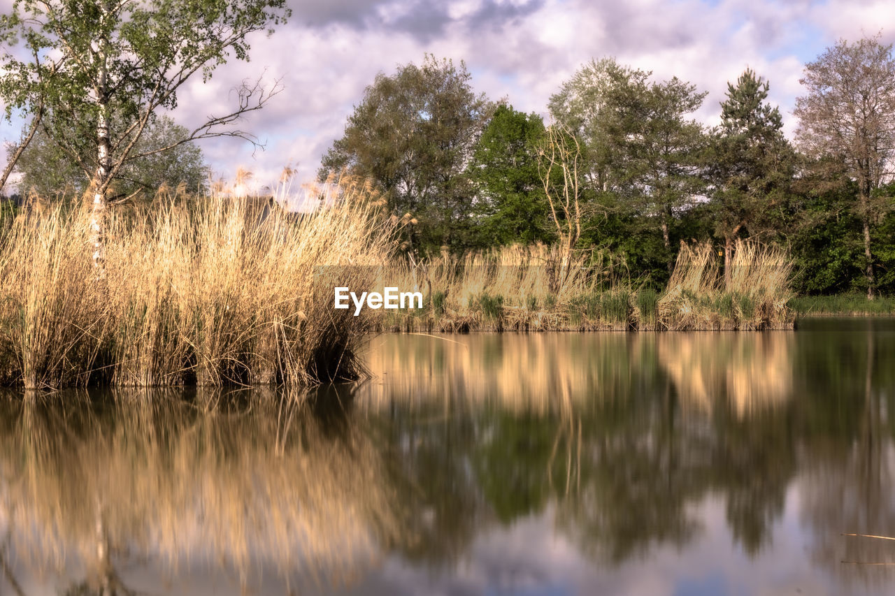 Scenic view of lake against sky