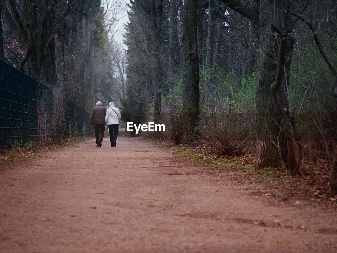 REAR VIEW OF A MAN WALKING ON FOOTPATH IN FOREST