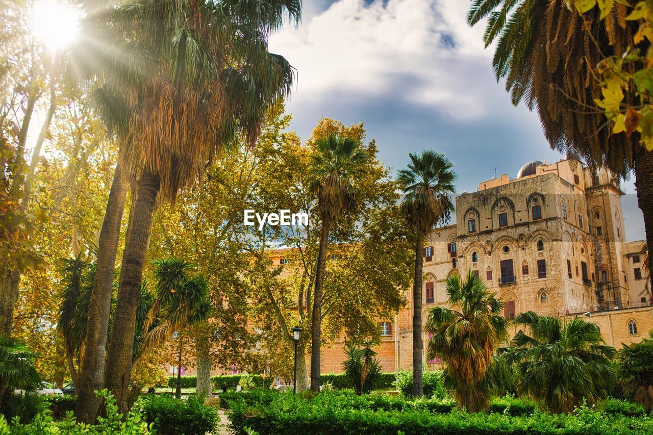 LOW ANGLE VIEW OF PALM TREES AND BUILDINGS AGAINST SKY