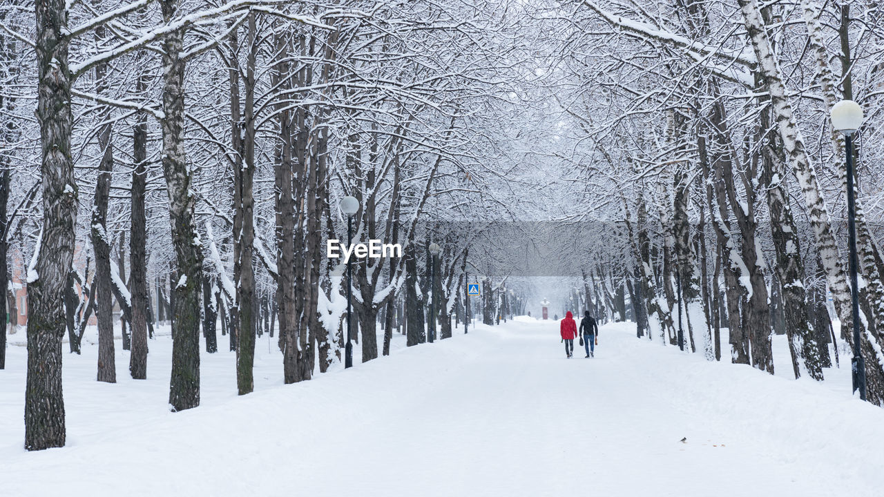 winter, snow, cold temperature, tree, forest, plant, land, environment, nature, beauty in nature, scenics - nature, landscape, footwear, holiday, woodland, mountain, sports, travel, leisure activity, white, vacation, coniferous tree, pinaceae, non-urban scene, trip, walking, travel destinations, winter sports, branch, skiing, pine tree, footpath, adventure, full length, pine woodland, day, extreme weather, tranquil scene, lifestyles, outdoors, tourism, frozen, rear view, tranquility, clothing, tree trunk, nordic skiing, adult, trunk, one person, tree area, snowing, bare tree, piste, journey
