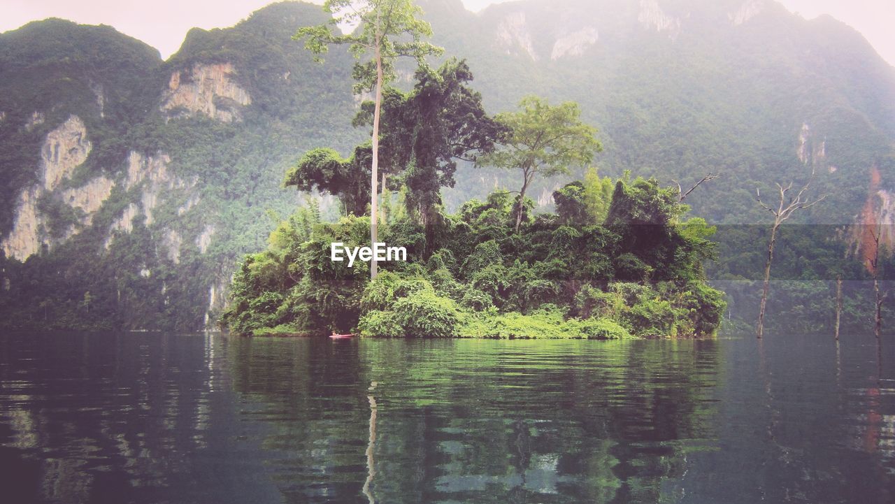 REFLECTION OF TREES IN LAKE