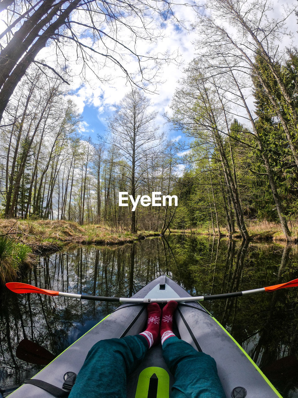 Low section of person in boat against trees in forest