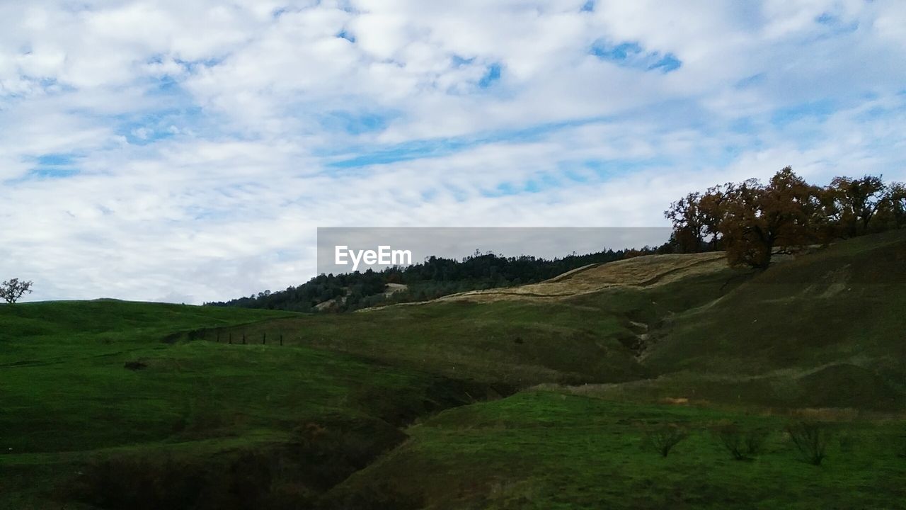 SCENIC VIEW OF GREEN LANDSCAPE AND MOUNTAINS AGAINST SKY