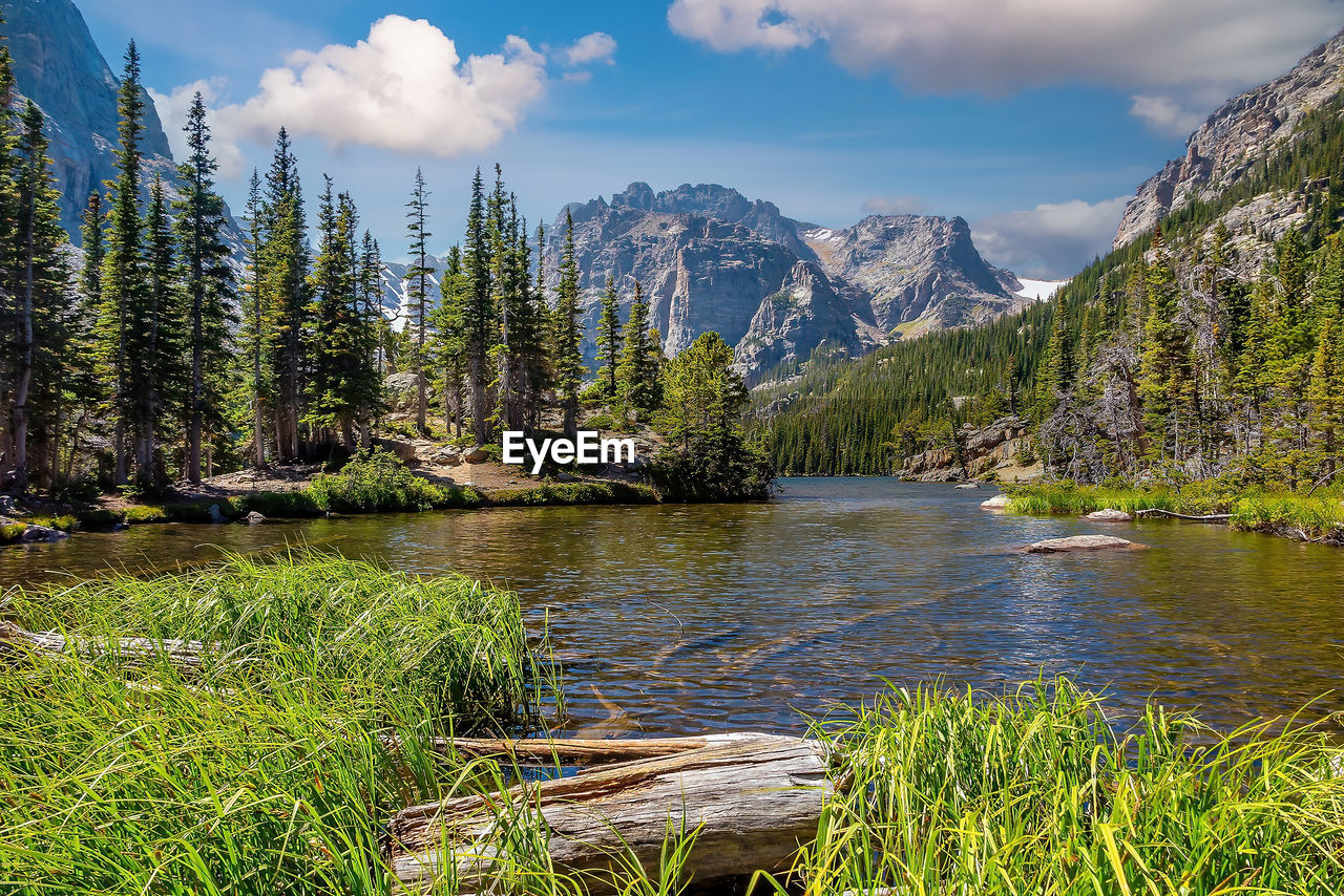 scenic view of lake by trees against sky