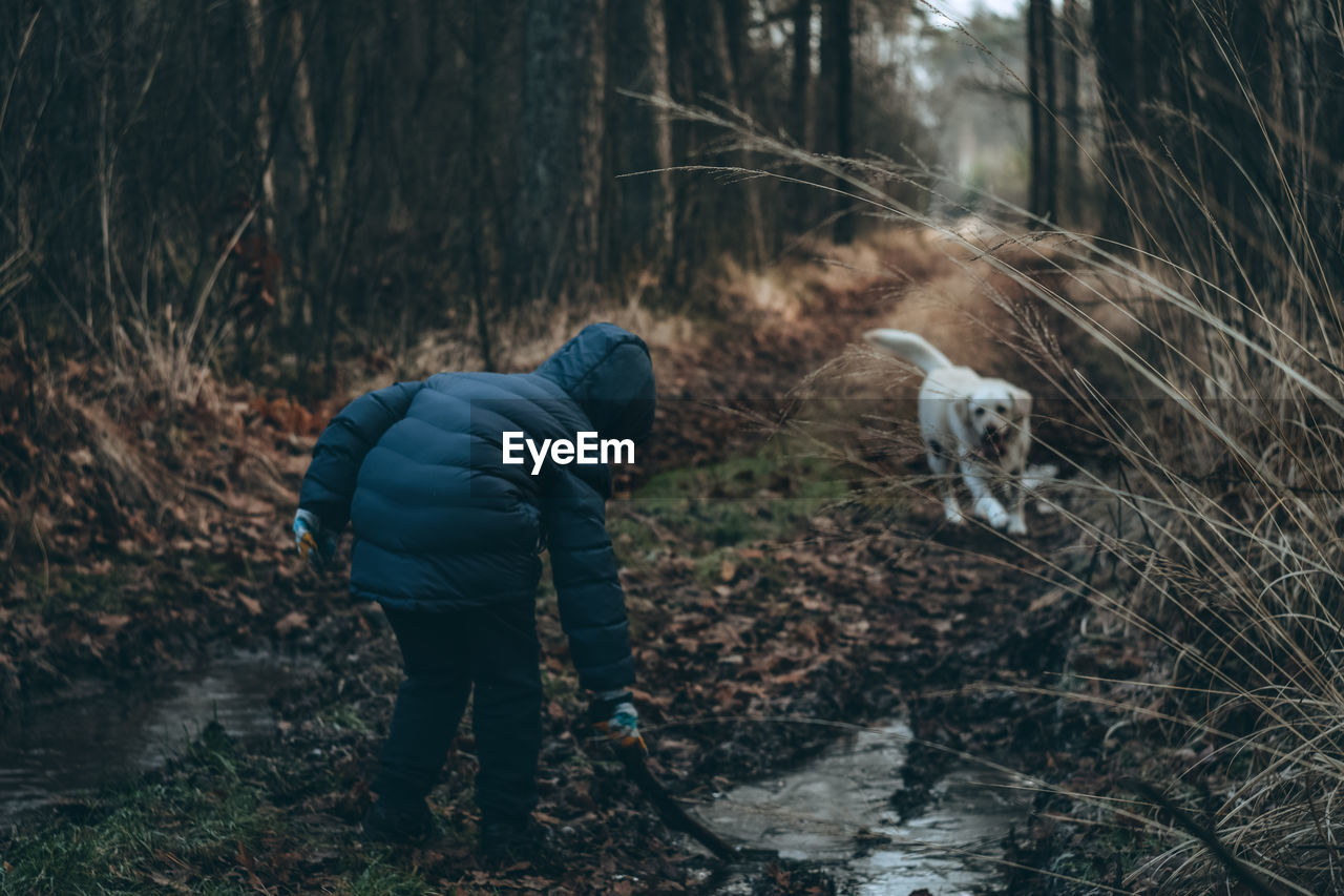 Rear view of man in forest