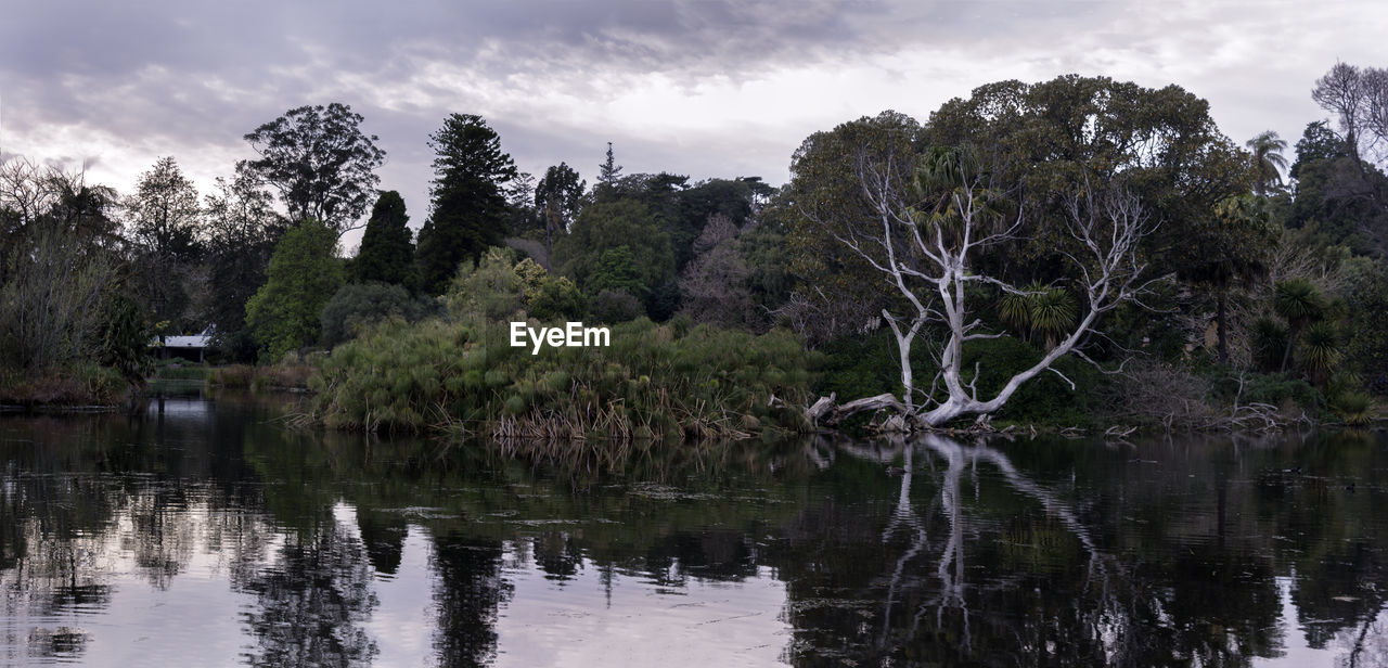 Reflection of trees in lake against sky