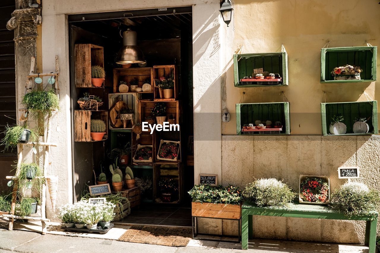 potted plants in front of abandoned building