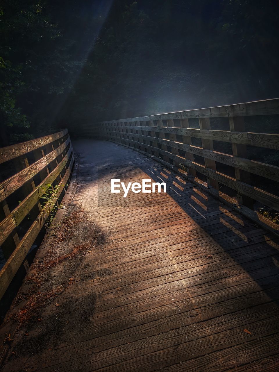 View of footbridge in forest