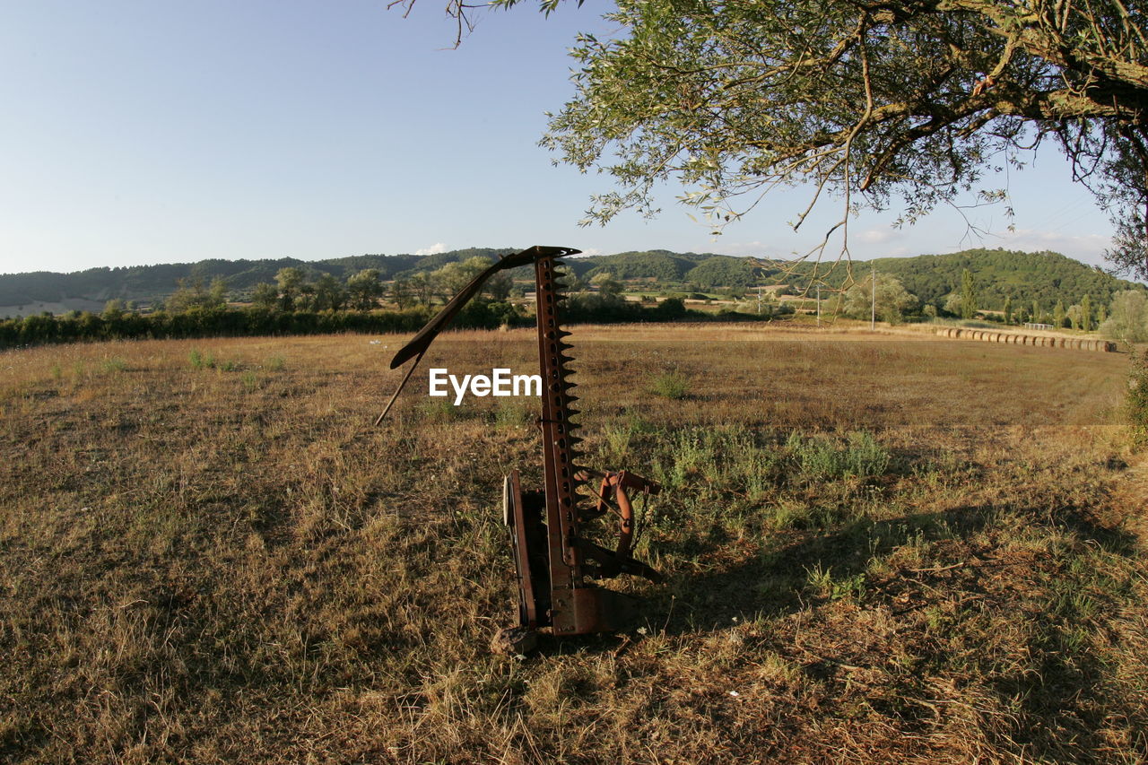 Scenic view of field against clear sky