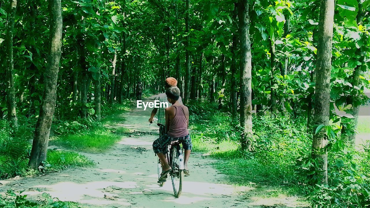 WOMAN STANDING IN FOREST