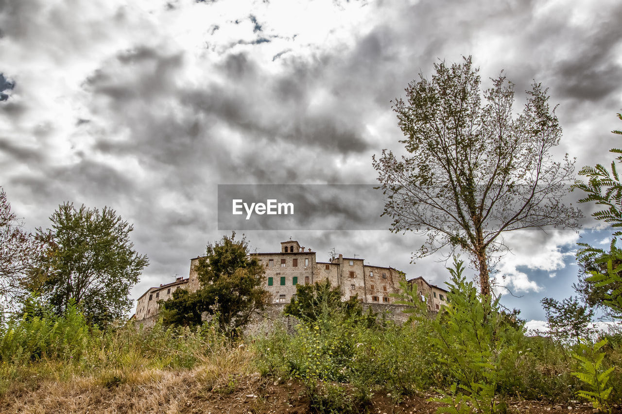 LOW ANGLE VIEW OF TREES AGAINST CLOUDY SKY