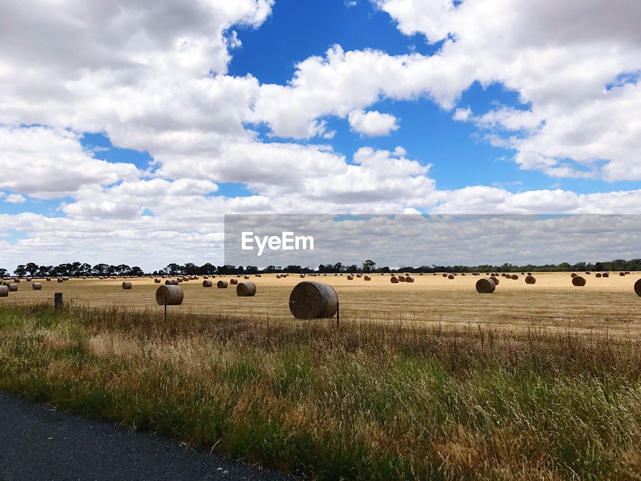 Hay bales on field against sky