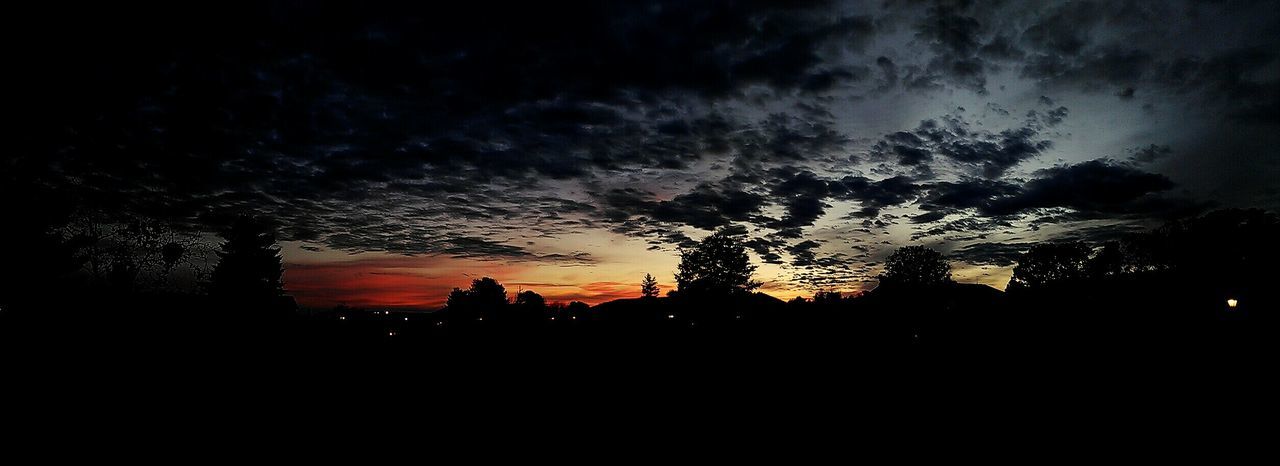 SILHOUETTE TREES AGAINST SKY DURING SUNSET