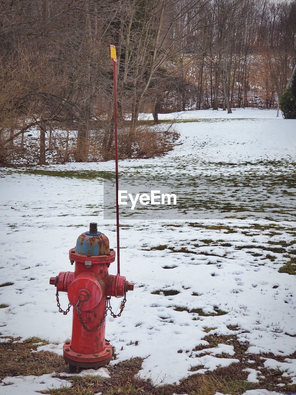 Red fire  hydrant on snow covered field