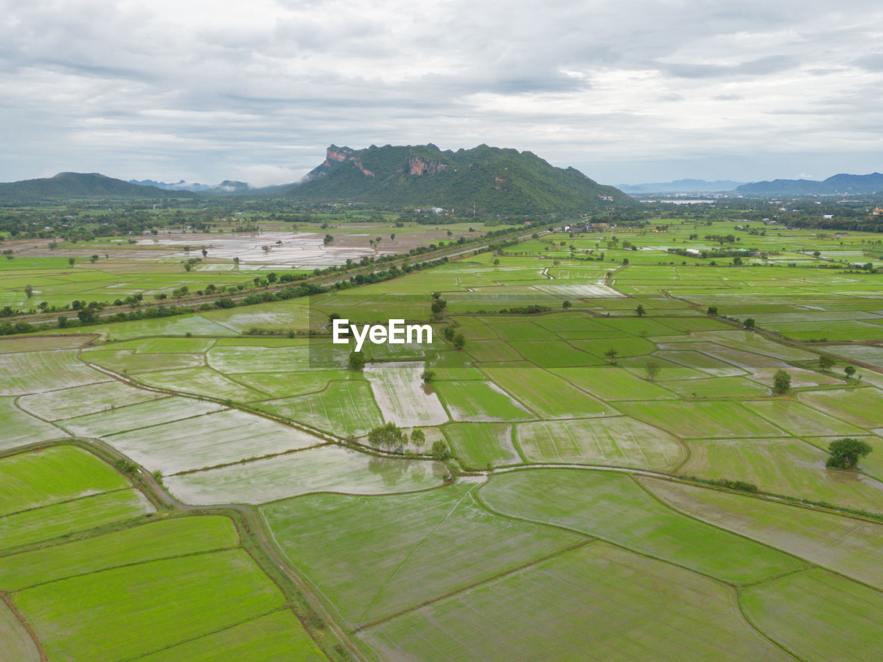 landscape, environment, agriculture, plain, land, rural scene, field, scenics - nature, nature, farm, paddy field, sky, plant, green, rural area, beauty in nature, cloud, aerial photography, no people, tranquility, crop, tranquil scene, architecture, growth, outdoors, hill, travel, building, day, terrace, grassland, grass, bird's-eye view, rice, plateau, rice paddy, travel destinations, high angle view, water, house, non-urban scene, food and drink, built structure, food, tourism, village, idyllic, tree