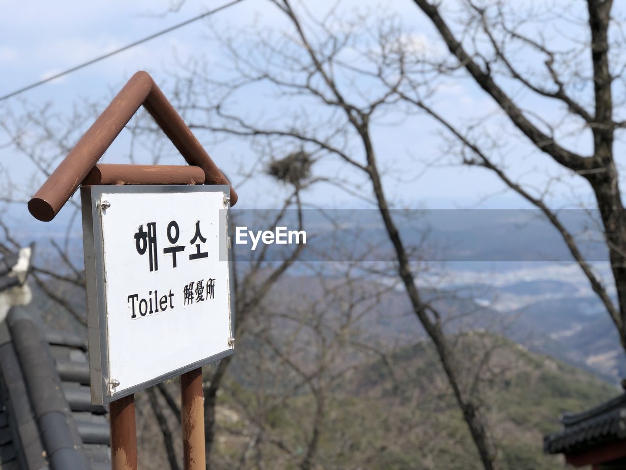 CLOSE-UP OF SIGN AGAINST BARE TREE