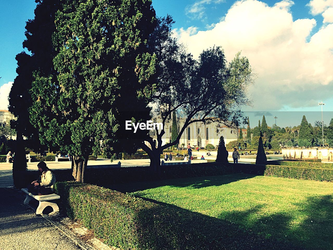 Buildings in distance with trees on lawn in foreground