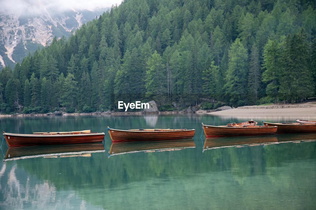 Boats moored on lake against trees