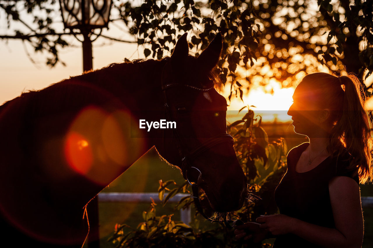 WOMAN HOLDING SUN SEEN THROUGH TREE