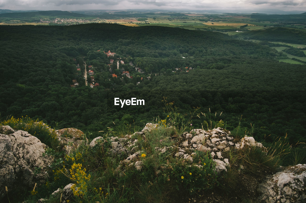 High angle view of trees on landscape against sky