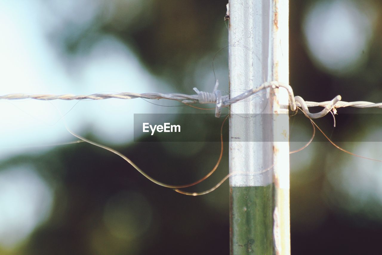 Close-up of barbed wire on pole