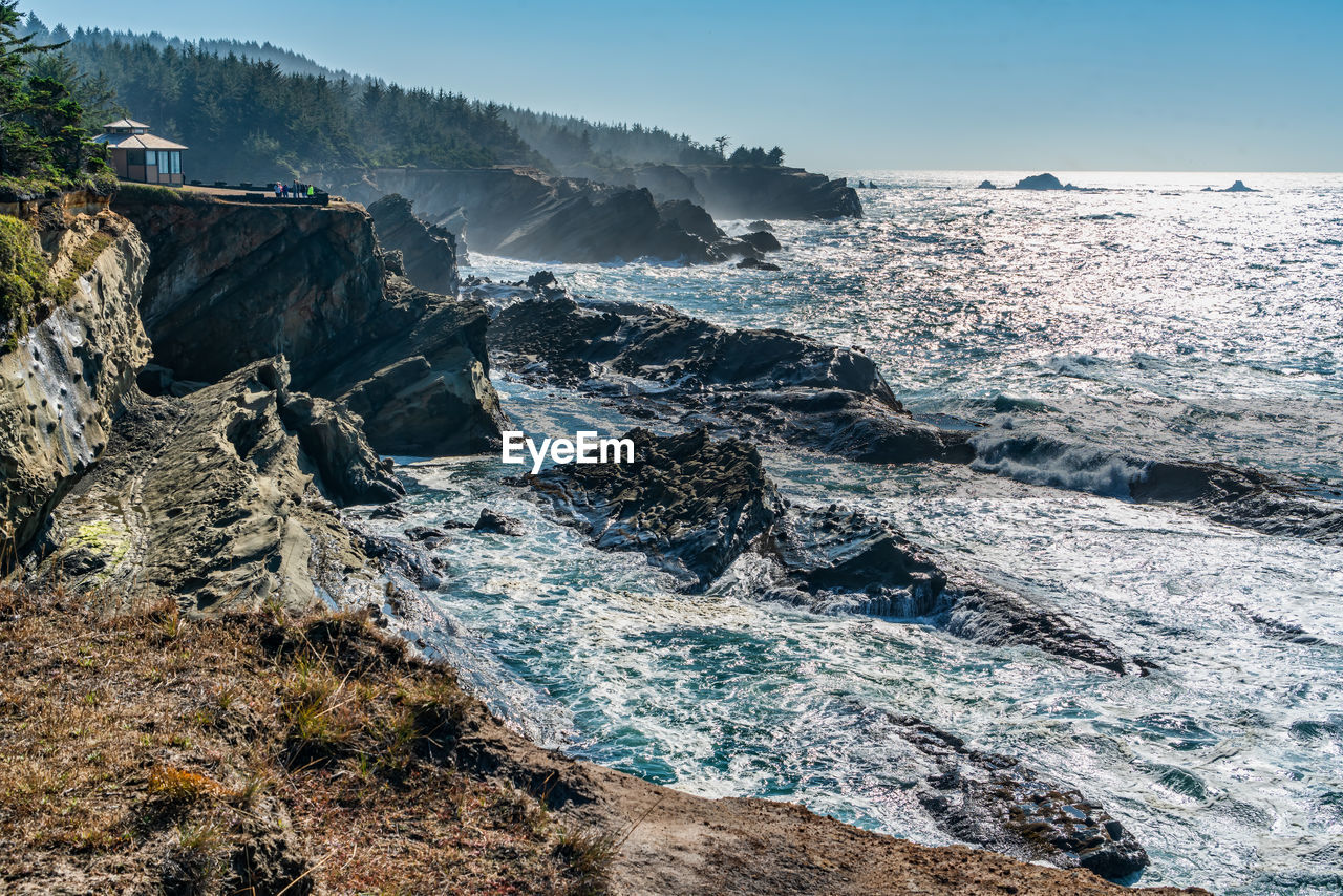 A view of the rugged shoreline at shore acres state park in oregon state.