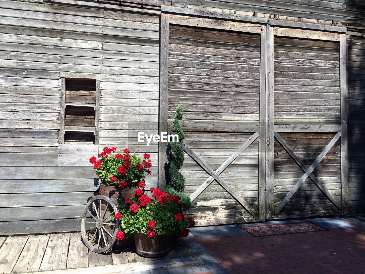 POTTED PLANTS AGAINST BUILDING