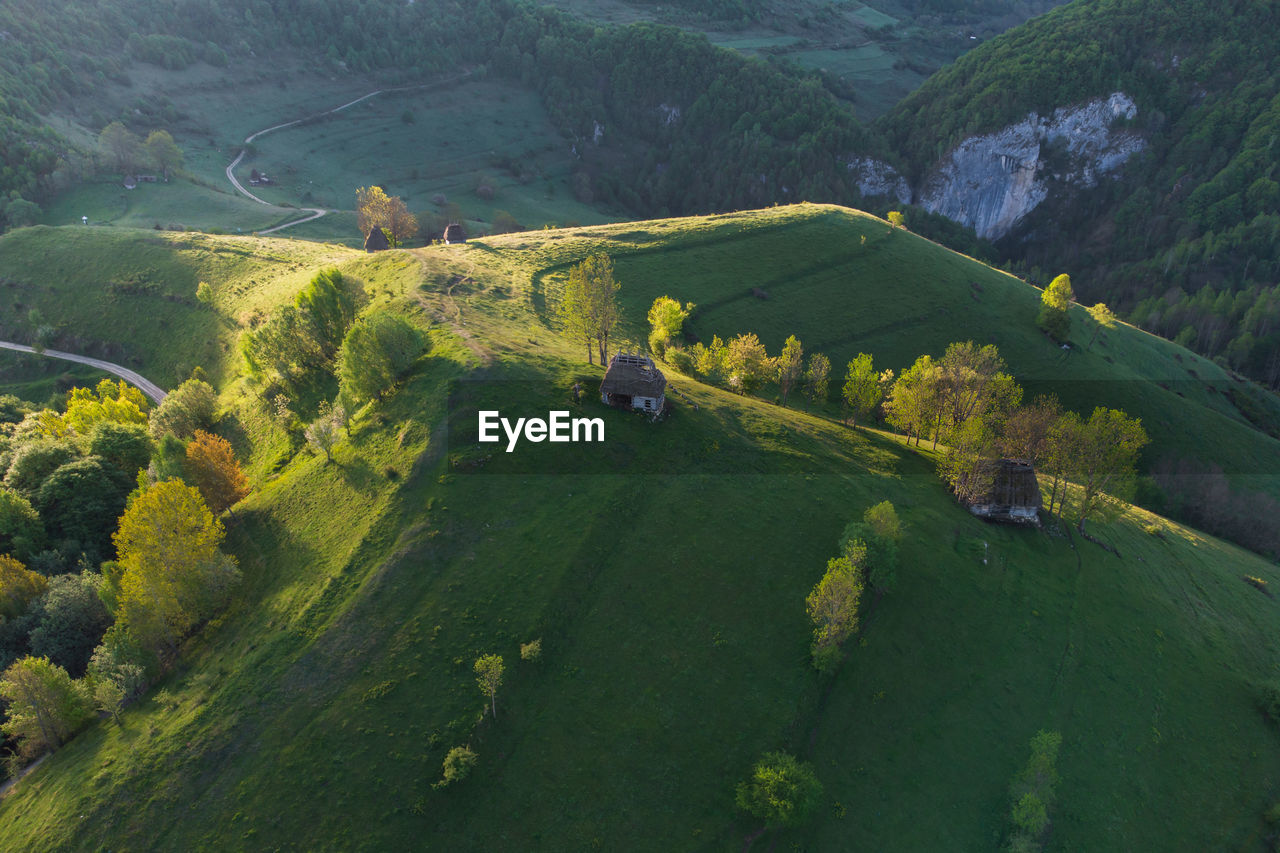 HIGH ANGLE VIEW OF GREEN LANDSCAPE