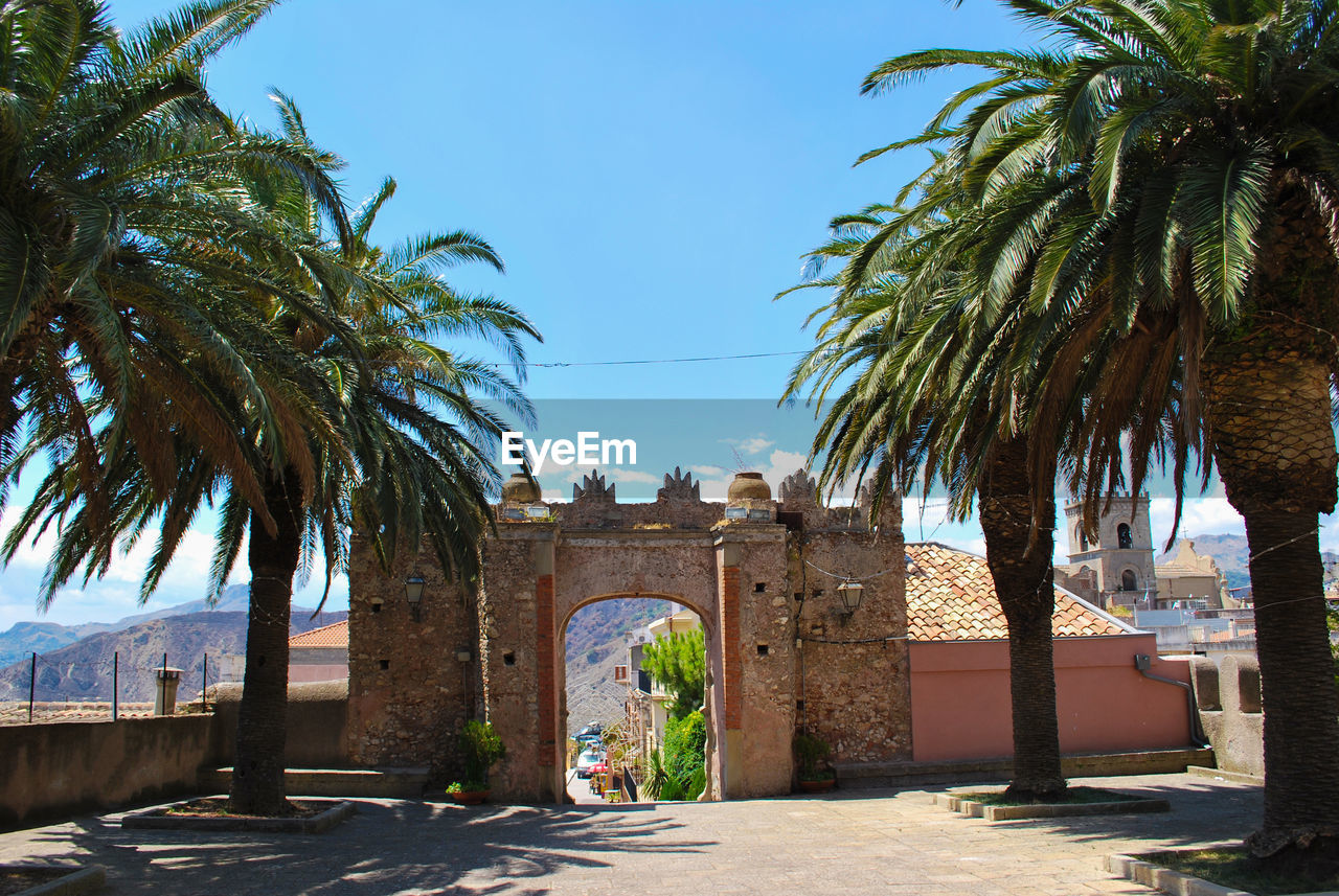 Palm trees along built structure